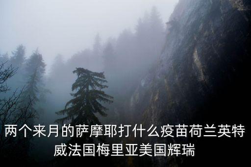 兩個(gè)來(lái)月的薩摩耶打什么疫苗荷蘭英特威法國(guó)梅里亞美國(guó)輝瑞