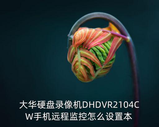 大華硬盤錄像機(jī)DHDVR2104CW手機(jī)遠(yuǎn)程監(jiān)控怎么設(shè)置本