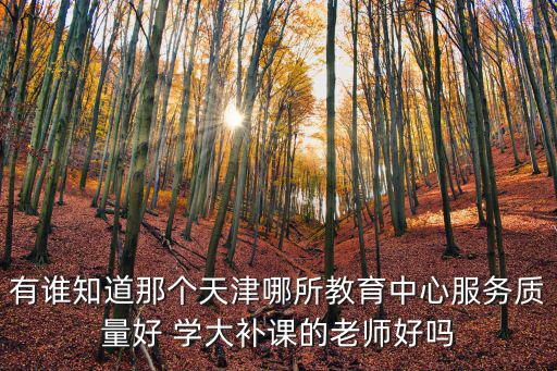有誰知道那個天津哪所教育中心服務質量好 學大補課的老師好嗎