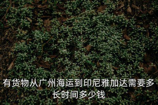 有貨物從廣州海運到印尼雅加達需要多長時間多少錢