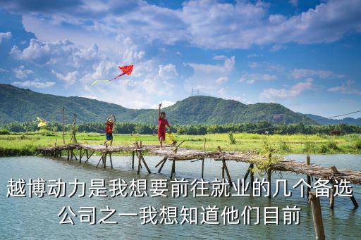 越博動(dòng)力是我想要前往就業(yè)的幾個(gè)備選公司之一我想知道他們目前