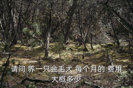 養(yǎng)只金毛的開銷是多少錢，養(yǎng)一只差不多的金毛大概一月花銷有多少