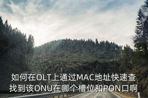 如何在OLT上通過MAC地址快速查找到該ONU在哪個(gè)槽位和PON口啊