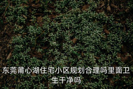 東莞莆心湖住宅小區(qū)規(guī)劃合理嗎里面衛(wèi)生干凈嗎