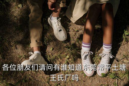 各位朋友們請(qǐng)問有誰知道東莞常平土塘王氏廠嗎