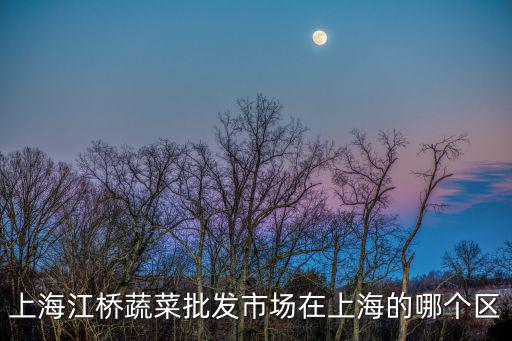 上海江橋蔬菜批發(fā)市場在上海的哪個區(qū)