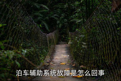 泊車系統故障怎么解決，自動泊車系統故障維修站怎么回事