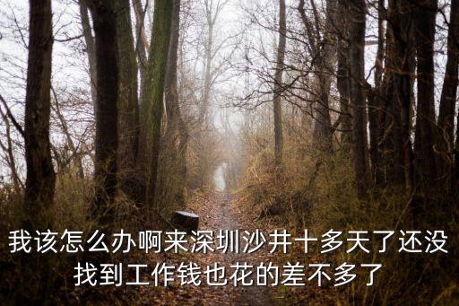 我該怎么辦啊來深圳沙井十多天了還沒找到工作錢也花的差不多了