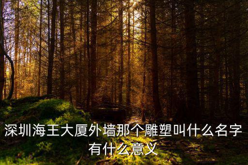 深圳海王大廈外墻那個雕塑叫什么名字有什么意義