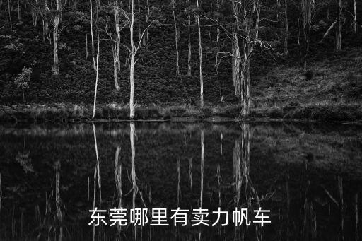 東莞哪里有賣力帆車