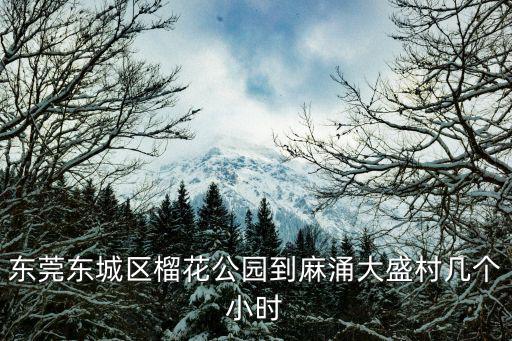 東莞大盛村 站街圖片，東莞大盛村有哪些日資企業(yè)特別是電子廠