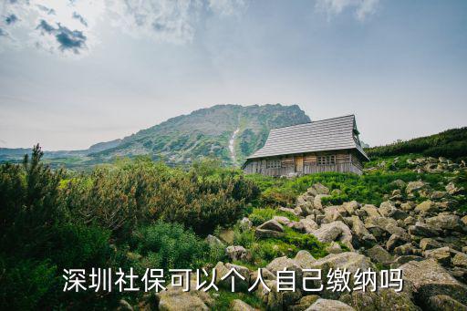 深圳 自己交納社保，深圳自己怎么交社保
