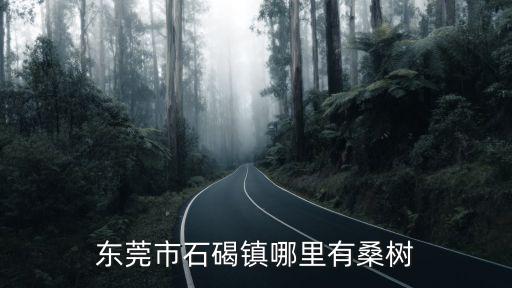 東莞附近桑果園，請問東莞東城附近哪里有桑葚采摘園主要是想摘桑葉喂蠶