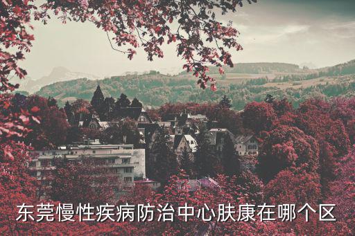 東莞慢性疾病防治中心膚康在哪個(gè)區(qū)