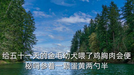 給五十一天的金毛幼犬喂了雞胸肉會便秘嗎參著一顆蛋黃兩勺半