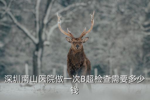 深圳南山醫院做一次B超檢查需要多少錢