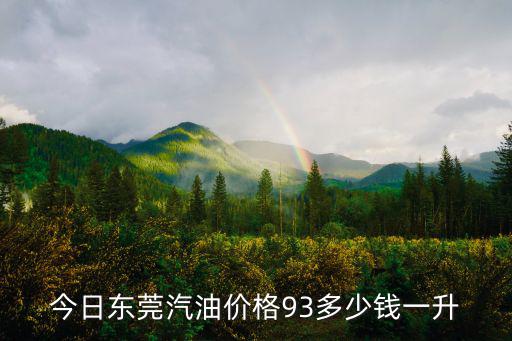 今日東莞汽油價格93多少錢一升