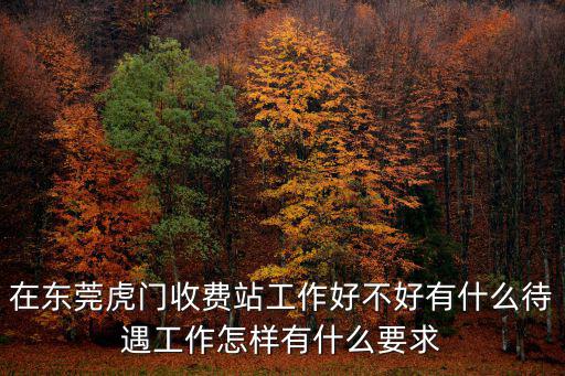 在東莞虎門收費站工作好不好有什么待遇工作怎樣有什么要求