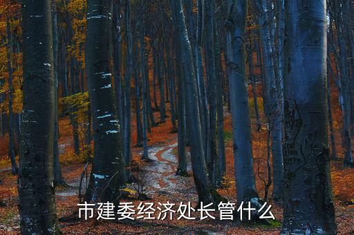 市建委經濟處長管什么