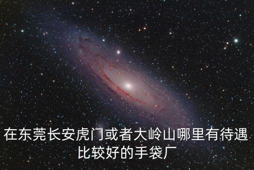 在東莞長安虎門或者大嶺山哪里有待遇比較好的手袋廠