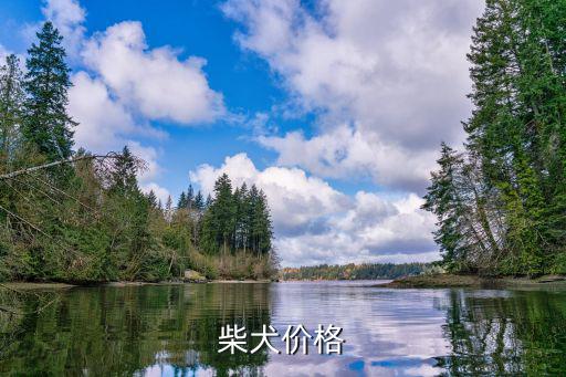 柴犬價格