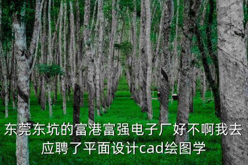 東莞東坑的富港富強電子廠好不啊我去應聘了平面設計cad繪圖學