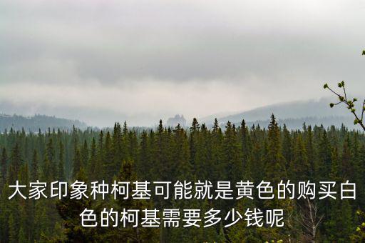 大家印象種柯基可能就是黃色的購買白色的柯基需要多少錢呢