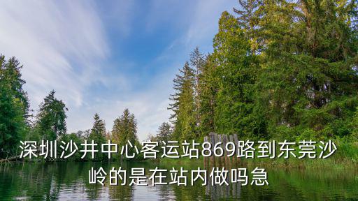 東莞869路線，深圳沙井中心客運站869路到東莞沙嶺的是在站內做嗎急