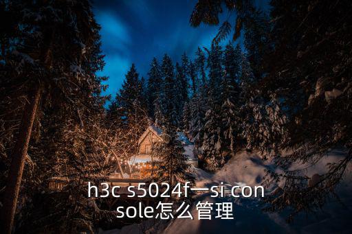 h3c s5024f一si console怎么管理