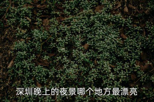 深圳晚上的夜景哪個地方最漂亮