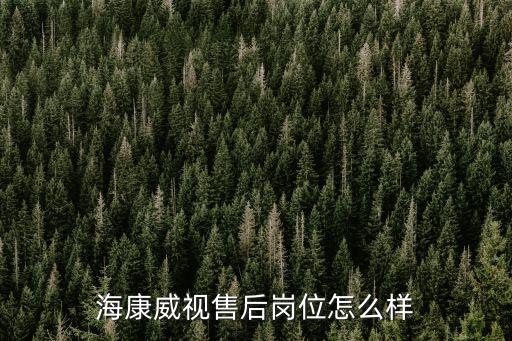 海康威視售后崗位怎么樣