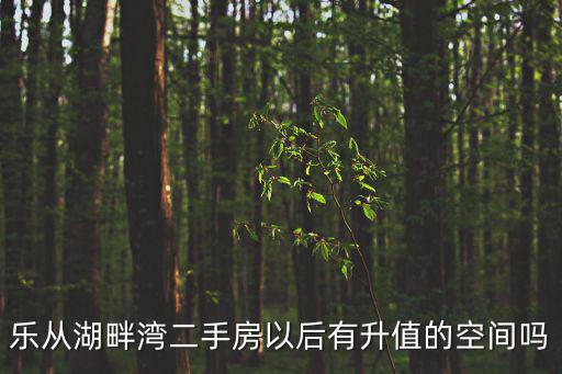 樂從湖畔灣二手房以后有升值的空間嗎