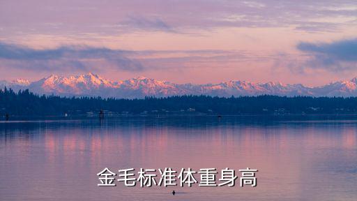 金毛標(biāo)準(zhǔn)體重身高