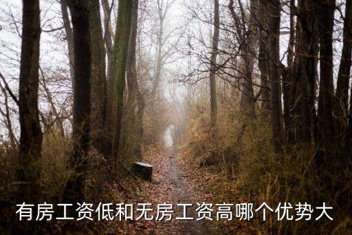 有房工資低和無(wú)房工資高哪個(gè)優(yōu)勢(shì)大