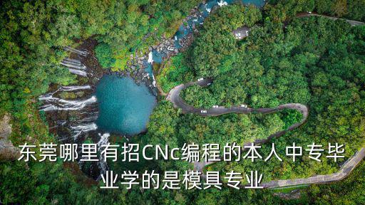 東莞哪里有招CNc編程的本人中專畢業學的是模具專業