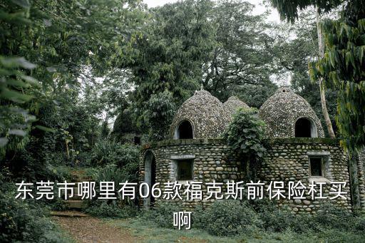 東莞市哪里有06款福克斯前保險杠買啊