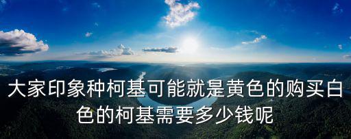 奶白色柯基多少錢一只，柯基多少錢一只