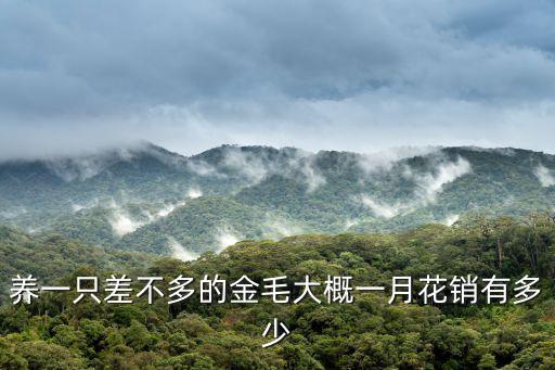 養一只差不多的金毛大概一月花銷有多少