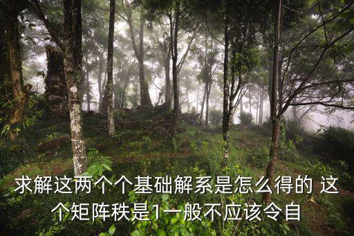 求解這兩個個基礎解系是怎么得的 這個矩陣秩是1一般不應該令自