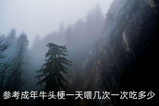 參考成年牛頭梗一天喂幾次一次吃多少