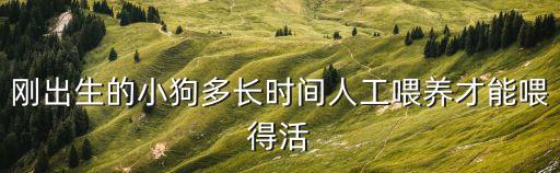 剛出生的小狗多長(zhǎng)時(shí)間人工喂養(yǎng)才能喂得活