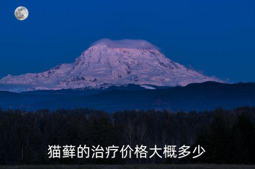 貓蘚的治療價格大概多少