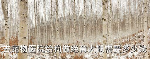 寧德邊牧絕育多少錢，去寵物醫院給狗做絕育大概需要多少錢