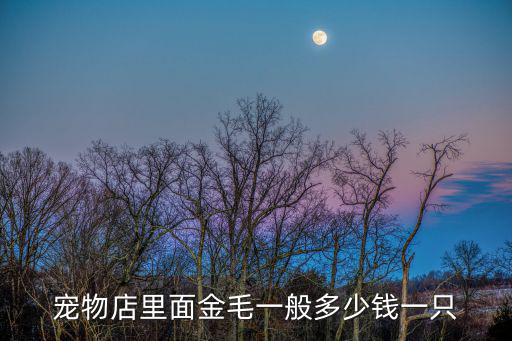 寵物店里面金毛一般多少錢一只