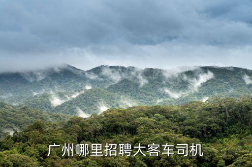 廣州哪里招聘大客車司機