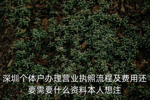 深圳個(gè)體戶辦理營業(yè)執(zhí)照流程及費(fèi)用還要需要什么資料本人想注