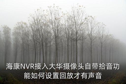 大華硬盤錄像機怎么播放音頻，海康NVR接入大華攝像頭自帶拾音功能如何設(shè)置回放才有聲音