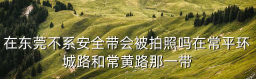 在東莞不系安全帶會被拍照嗎在常平環城路和常黃路那一帶