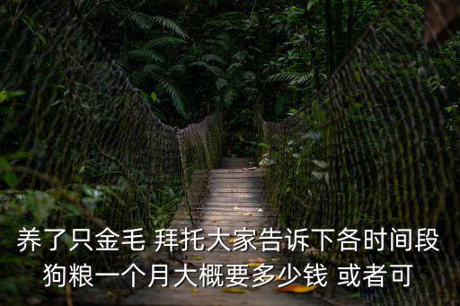 養了只金毛 拜托大家告訴下各時間段狗糧一個月大概要多少錢 或者可