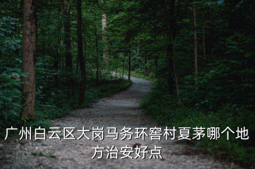 廣州白云區(qū)大崗馬務(wù)環(huán)窖村夏茅哪個地方治安好點(diǎn)